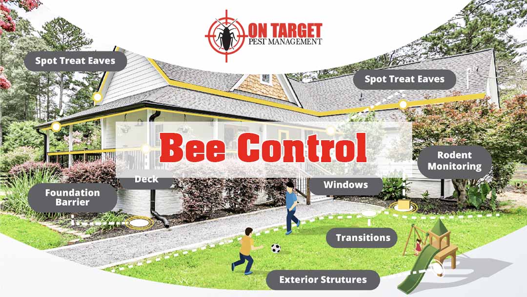 Bee Control - On Target Pest Management